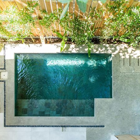 Alma Tropical - Luxury Villa Experience In Santa Teresa Playa Santa Teresa  Екстер'єр фото